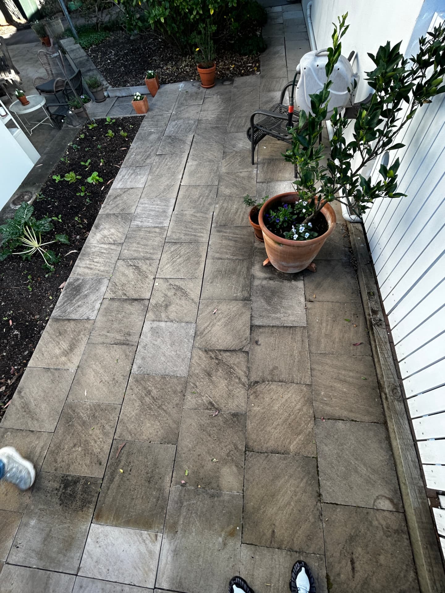 Sandstone patio in Sydney greyed out with organic growth before pressure washing