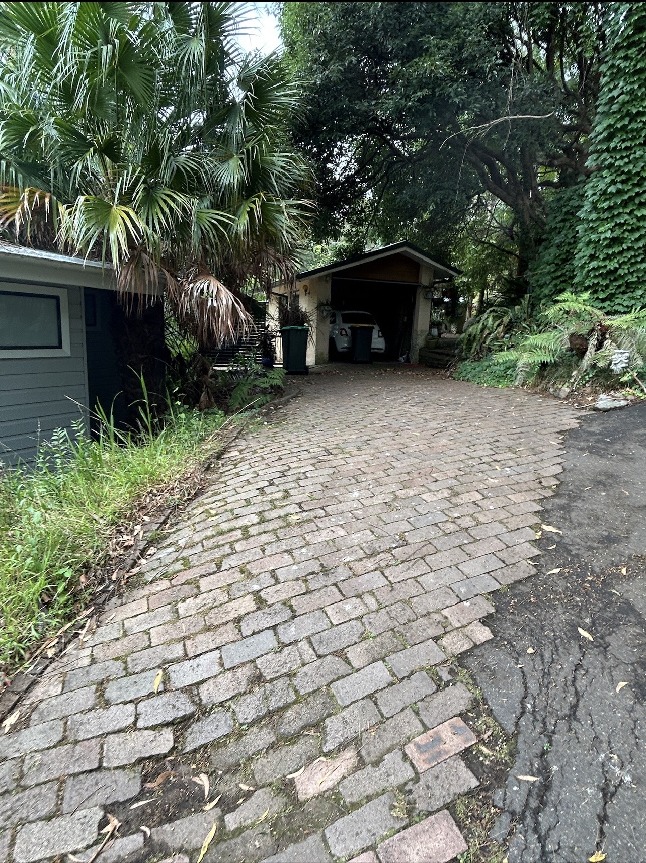 Brick paver driveway under heavy tree cover, greyed out with moss before pressure washing