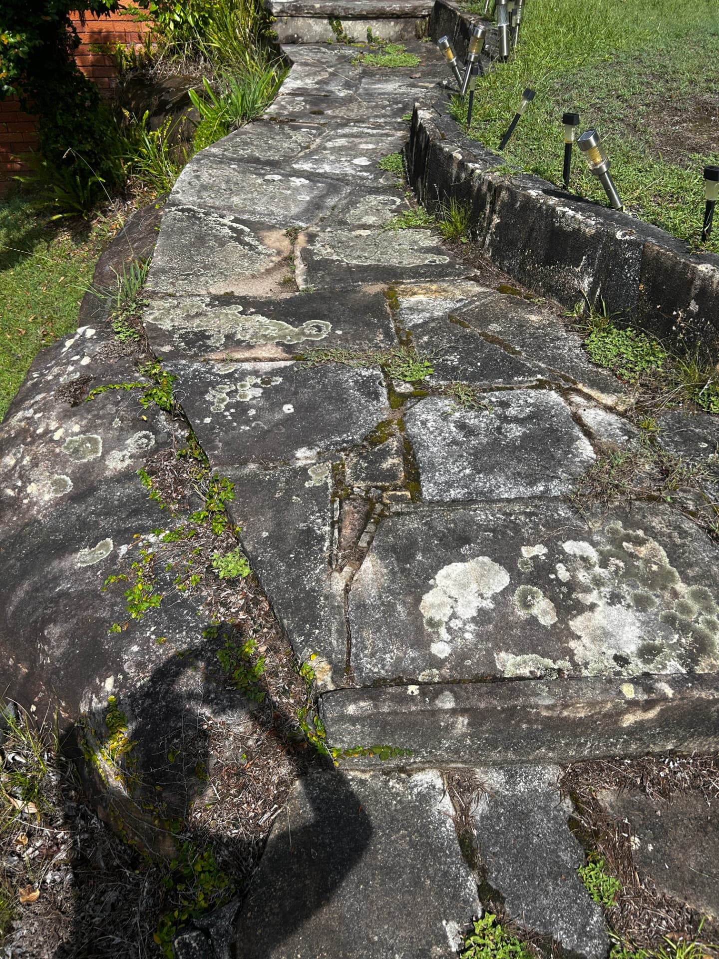 Sandstone entry path covered in lichen, moss and weed growth before cleaning